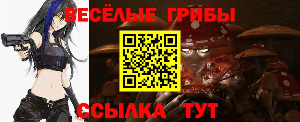 Псилоцибиновые грибы Cubensis Котлас